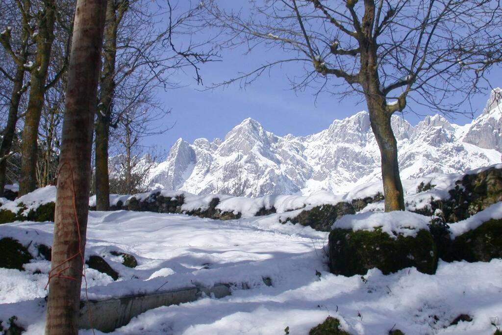 Aire De Montana - Estupendas Vistas A Los Picos Baro  المظهر الخارجي الصورة